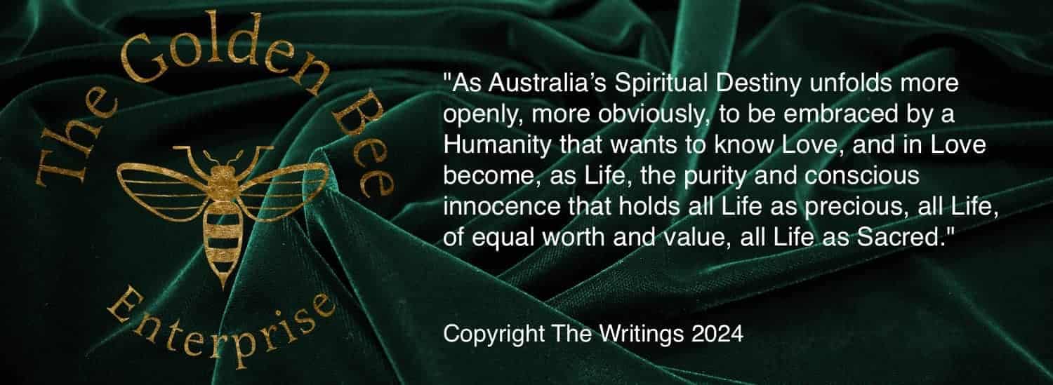 Velvet Footer latest 2024